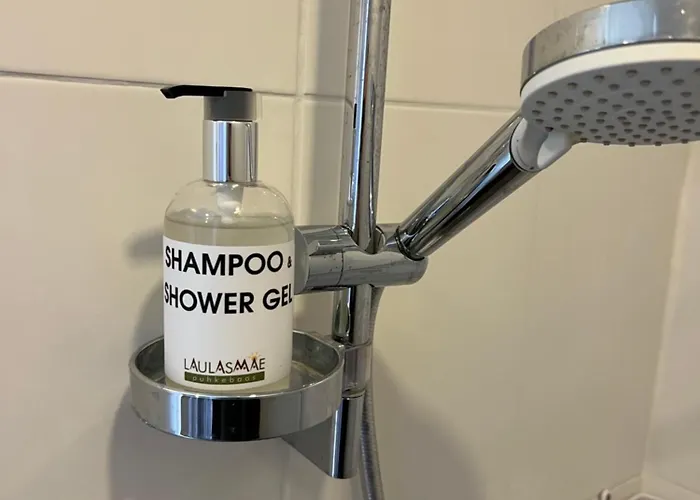 Vakantiepark Laulasmaee Puhkebaas